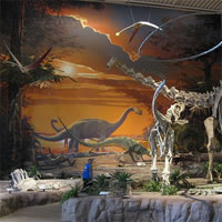 NM Museum of Natural History and Science